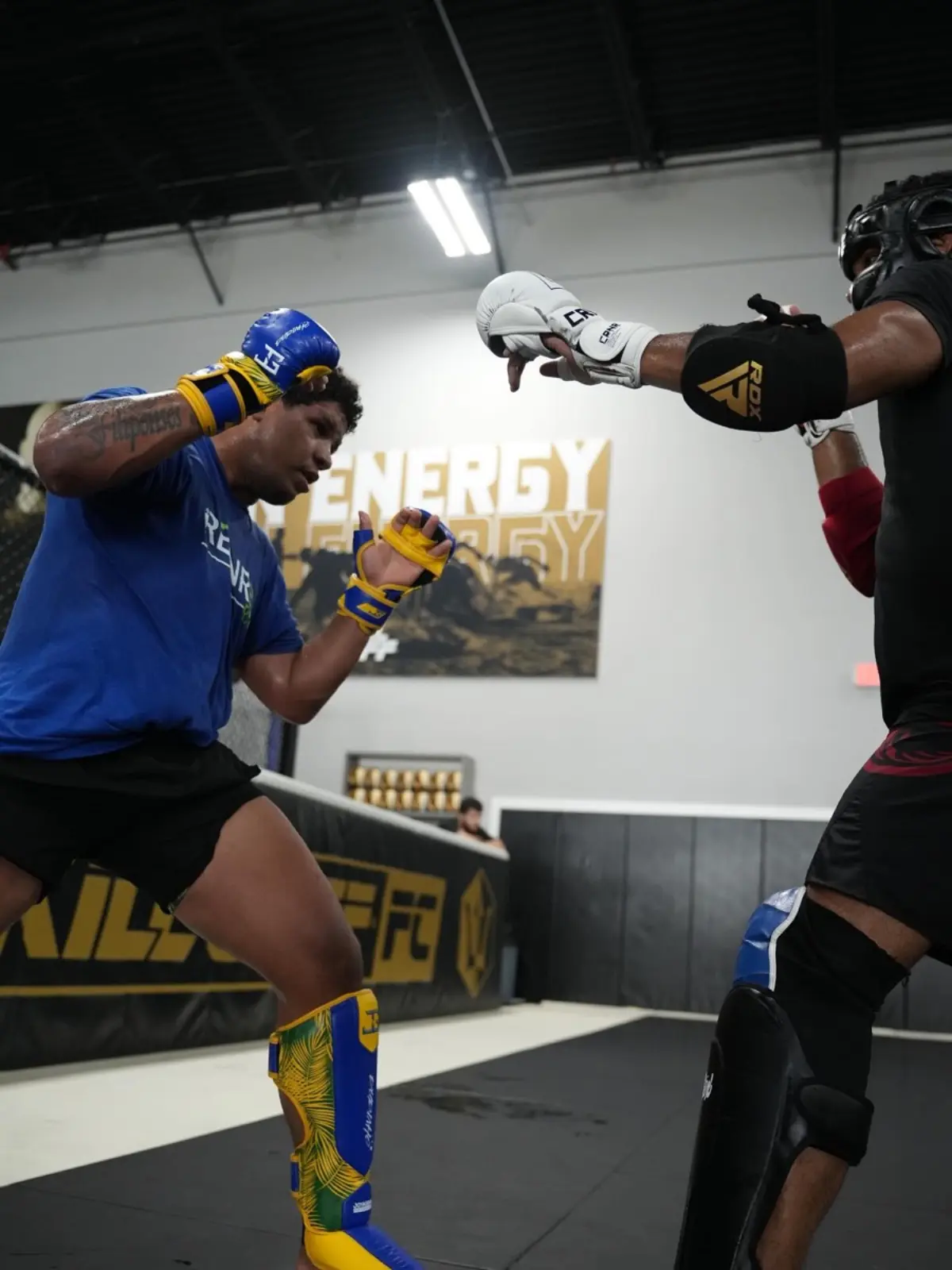 MMA sparring at Kaizen MMA